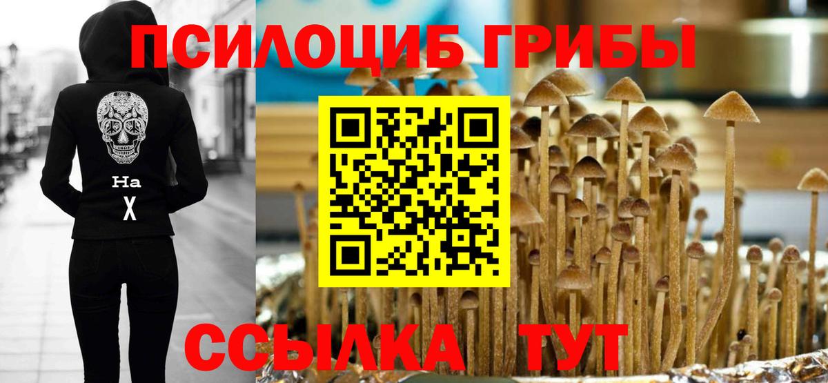 Галлюциногенные грибы Cubensis Соликамск